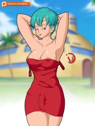 bulma briefs from dragon ball by dilabs