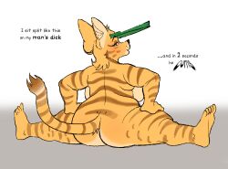 anthro ass big_ass big_breasts big_butt big_ears blush bragging breasts felid feline female flexible fur green_eyes hands_on_legs hands_on_thighs hi_res kaboozey looking_at_viewer looking_back looking_back_at_viewer mammal nude overweight overweight_anthro overweight_female rayne_(kaboozey) rear_view serval side_boob simple_background slightly_chubby slightly_chubby_anthro slightly_chubby_female solo splits spread_legs spreading striped_body striped_fur stripes tail text yellow_body yellow_fur