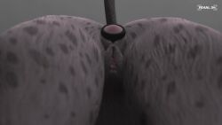 3d anal anal_plug anal_sex animated anthro ass ass_focus butt_focus buttplug close-up female furry hyena leaking leaking_pussy masturbation plug plug_(sex_toy) pussy pussy_juice pussy_juice_drip rear_view rixal34 solo spotted_body spotted_fur spotted_hyena vibrator vibrator_in_ass