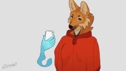 animated anthro fox furry futanari horsecock leaking_precum no_panties no_underwear precum solo solo_futa sound tagme video zimabel