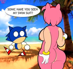 amy rose from sega by mcpartyworld
