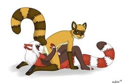 2015 anal anthro black_fur brown_fur brown_stripes claws duo erection female fur graedius green_eyes hair kyoushiro licking looking_back male mammal oral pawpads paws penis raccoon red_fur red_panda red_stripes rimming sex simple_background smile straight tongue tongue_out white_background white_fur white_hair white_stripes