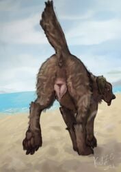 anatomically_correct anatomically_correct_genitalia anatomically_correct_vulva animal_genitalia animal_vulva anus beach bird_dog blurred_background bodily_fluids brown_body brown_fur canid canine canine_genitalia canine_vulva canis domestic_dog el_kyze female feral feral_focus fur genital_fluids genitals hi_res hunting_dog labrador lens_flare mammal paws presenting presenting_anus presenting_vulva retriever sand solo solo_focus tongue tongue_out troy_(invitedrhino) vaginal_fluids vulva walking