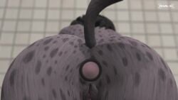 3d anal anal_plug anal_sex animated anthro ass ass_focus butt_focus buttplug close-up female furry hyena leaking leaking_pussy masturbation plug plug_(sex_toy) pussy pussy_juice pussy_juice_drip rear_view rixal34 solo spotted_body spotted_fur spotted_hyena vibrator vibrator_in_ass