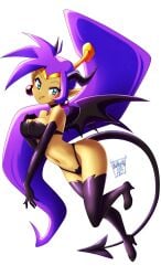 1girls danmakuman female shantae shantae_(character) solo solo_female tagme
