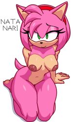 amy rose from sega by nyouki