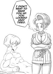 bulma briefs fan art