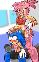 amy rose from sonic the hedgehog (series) by zenkitsune (artist)