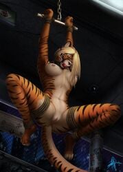 anthro anus bent_legs bondage bondage bound breasts felid female genitals hair hi_res mammal pantherine pussy rena_(statik) solo spread_legs spreading statik suspension suspension_bondage tail tiger wide_eyed