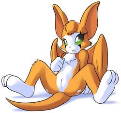 2015 anthro anus ass clitoris dust:_an_elysian_tail female fidget fur furry furry_only goshaag green_eyes long_ears mammal nimbat orange_fur presenting presenting_hindquarters presenting_pussy pussy simple_background sitting solo spread_legs spreading video_games white_background wings