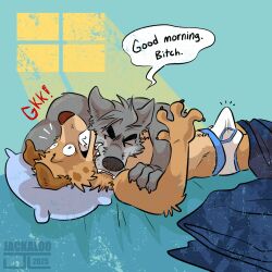 andrew_oleander anthro arm_grab aroused aroused_by_another aroused_male back_muscles bed bed_covers bed_sheet bedding bedroom bedroom_window biceps big_muscles bite biting_another biting_partner blue_briefs blue_clothing blue_eyes blue_underwear briefs briefs_only brown_body brown_fur bulge canid canine canis chomp claws clothed clothing cooper_estevez detailed_bulge dialogue dirty_talk domestic_dog dominant dominant_anthro dominant_male duo english_text erection erection_under_clothing erection_under_underwear eyebrows fangs fangs_bared flirting flirting_look fur furniture genital_outline grey_body grey_fur hand_on_arm hi_res holding_arm jackaloo light light_beam lying lying_on_bed male male/male mammal manly morning muscles muscular muscular_anthro muscular_male neck_bite nude nude_anthro nude_male on_back on_bed penis penis_outline pillow profanity raised_eyebrows secretly_loves_it shocked sneak_attack speech_bubble submissive submissive_anthro submissive_male sunbeam sunlight sunrise taunting taunting_partner teasing teasing_partner teeth tenting text thick_arms thick_eyebrows topless underwear underwear_only white_briefs white_clothing white_underwear window window_light wolf