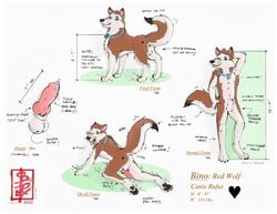 2012 all_fours animal_genitalia anthro anus ass balls bino canine doggy_style fennec_(artist) feral from_behind knot mammal model_sheet penis sex wolf