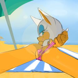 rouge the bat from sonic (series) by filthypally