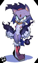 blaze the cat from sega by kingraam