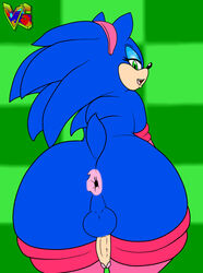 anthro anus ass backsack balls big_butt crossdressing femboy feminine_male half_nude hedgehog male male_only mammal sega solo sonic_(series) sonic_the_hedgehog thecon virtigogun western_art