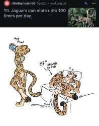 after_orgasm after_sex bottomless cheetah covered_in_cum furry gay male_only tired_expression xing1