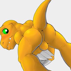 agumon anus ass balls blush covering covering_crotch digimon dinosaur embarrassed looking_back low-angle_shot male male_only nervous paw_hands perineum rear_view scalie semi-anthro simple_background solo unknownwolf white_background worm's-eye_view