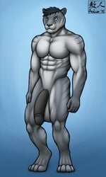 2015 abs anthro aolun balls biceps big_balls big_penis black_penis blue_fur blue_hair ectomorph feline flaccid fur grey_fur hair huge_cock humanoid_penis hyper hyper_penis long_penis male male_only mammal markings muscles nude orange_eyes pecs penis saber-toothed_cat solo stripes toned