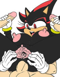 2014 2015 anal anal_sex anthro anus areola balls big_breasts breasts clitoris erect_nipples erection female foursome group group_sex handjob hedgehog huge_breasts male mammal nipples nude penetration penis pussy rule34rox rule_63 sex shadow_the_hedgehog sonic_(series) straight uncut