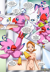 biyomon breasts comic digimon female gatomon human hypnosis innie_pussy male mammal mind_control nipples nude palcomix pussy sora_takenouchi text