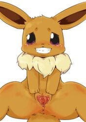 anus blush brown_fur canine clitoris eevee female feral fur furry furry_only kesu_pu mammal nintendo pokémon_(species) pokemon purple_eyes pussy pussy_juice smile solo spread_pussy spreading tail tears teeth tuft video_games