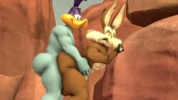 ass_worship bird clapping_ass coyote face_in_ass ironhawk looney_tunes male male/male male_only penis road_runner_(looney_tunes) sex tagme video wile_e._coyote