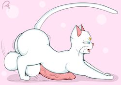 animal_genitalia artemis_(sailor_moon) ass balls big_ass big_balls big_penis bishoujo_senshi_sailor_moon blue_eyes erection feline feral huge_ass huge_balls male male_only mammal open_mouth penis pfh simple_background solo uncensored vein