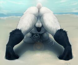 anthro anus ass balls beach bear claws erection furry furry_only male male_only mammal nude penis pig_(artist) presenting presenting_hindquarters seaside solo water