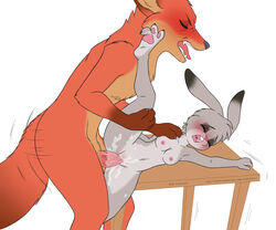 2015 blush breasts canine closed_eyes cum cum_in_pussy cum_inside disney female fox judy_hopps lagomorph lying male mammal nick_wilde nipples open_mouth orgasm penis rabbit simple_background small_breasts straight teeth tongue white_background xnanchox zootopia