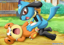 cum female feral male nintendo palcomix pokemon pokepornlive riolu teddiursa video_games