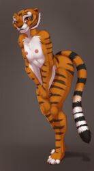 anthro embarrassed feline female female_only flat_chested fur furry gorsh_dolderan kung_fu_panda looking_at_viewer mammal master_tigress orange_eyes orange_fur reamworks simple_background solo standing tiger