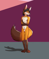 1boy 2015 anthro balls blush canine embarrassed fox greatredfoxwolf hair looking_away male male_only mammal nude sheath shy skinny slim solo standing