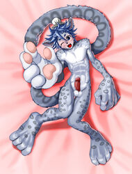 censored male original original_character ounce paws solo