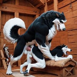 ai_generated alaskan_malamute anal anal_sex anthro anthro_on_anthro anus arm_support aurugy barn big_penis canid canine canis detailed doggy_style domestic_dog dominant dominant_male duo erection fluffy fluffy_tail from_behind_position furry genitals hi_res humanoid_genitalia imminent_sex inside leaning_on_elbow looking_at_another looking_pleasured male male/male mammal muscular muscular_male nordic_sled_dog open_mouth pawpads penetration penis photorealism photorealistic realistic sex size_difference spitz steele_(balto) waiting