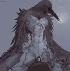 avian beak bird corvid crow crow_demon dark_souls dark_souls_2 feathered_wings feathers female fromsoftware human male mammal nude ornifex penetration penis sex straight talons tinyfaceart vaginal_penetration video_games wings