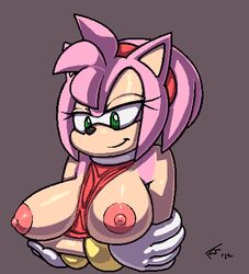 amy_rose anthro breasts female female_only fur hedgehog pink_hair r-fenrir solo sonic_(series)