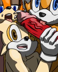 anthro blueast cream_the_rabbit cub cum echidna female fur knuckles_the_echidna male mammal marine_the_raccoon monotreme oral penis sonic_(series) sonic_boom sticks_the_badger sticks_the_jungle_badger sticks_the_tejon straight tagme