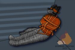 2023 anthro biped blindfold bondage bondage bound canid canine clothed clothing comrade_cumstain hi_res legs_tied male mammal muzzle_(object) muzzled orange_blindfold orange_straitjacket restraints sensory_deprivation sitting straitjacket submissive submissive_anthro submissive_male tail tape tape_bondage