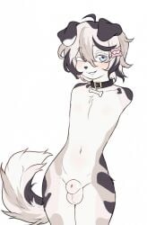 amputated_arm amputation amputee armless canine collar eyelashes femboy furry girly hairclip penis sex_slave sheath slave tail viskasunya white_fur