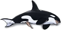 animal_genitalia cetacean convicted-clown feral genital_slit male mammal marine orca penis slit tagme tapering_penis whale