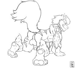 anthro arcanine ass balls circumcised fur furry furry_only kisahhk8 looking_at_viewer male male_only nintendo on_all_fours paw penis pokemon pokemon_(species) solo tagme video_game