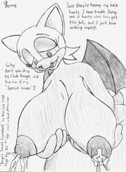 2d anthro furry mobian mobian_(species) mobian_bat rouge_the_bat sega sonic_(series) sonic_adventure_2 sonic_the_hedgehog_(series) straight_hair tagme veder_juda