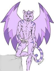 1boy anthro furry kougra male_only neopets tagme werepuppy