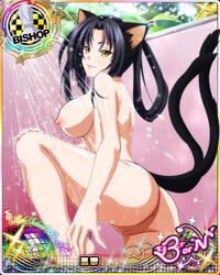 animal_ears anus ass cat_ears cat_humanoid female high_school_dxd kuroka_(high_school_dxd) nekomata nekomate14_edited pussy raised_tail shower sideboob