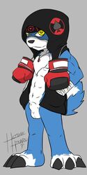 1boy 3_toes abs ace_the_gaomon anthro anthrofied arm_wraps balls bottomless boxing_gloves bulge canine cel_shading clothed clothing digimon front_view furry furry_only gaomon half-dressed hands_in_pockets headband heibanhikaru hoodie looking_at_viewer male male_only mammal open_clothes open_shirt pendant sheath shirt signature solo standing toes toned