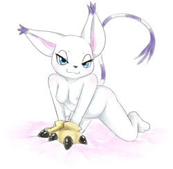 :3 all_fours breasts catfuk123 digimon feline female gatomon half-closed_eyes looking_at_viewer mammal pose pussy solo tailmon