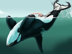 animal_genitalia anus cetacean cetacean_penis convicted-clown cuntboy cuntboy_sans_balls feral genital_slit herm hermaphrodite intersex male maleherm mammal marine multi_genitalia open_mouth orca outside partially_submerged penis precum pussy slit solo tapering_penis tentacle_penis underwater water whale