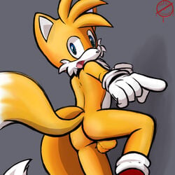 anthro ass balls canine clothing footwear fox fur furry furry_only gloves legwear looking_at_viewer looking_back male_only mammal nude open_mouth pointing presenting presenting_hindquarters rexin shoes socks sonic_(series) standing tails tongue