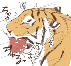 cum feline giraffe_(artist) male male_only mammal oral tiger