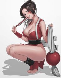 1girls artist_request breasts brown_eyes brown_hair cleavage crouching exposed_toes fatal_fury female female_only king_of_fighters large_breasts long_hair looking_at_viewer mai_shiranui nail_polish shadow simple_background smile solo source_request thick_thighs thighs toothy_grin white_background